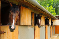 free Llandeloy stable construction quotes